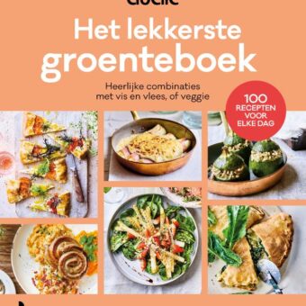 Libelle - Het lekkerste groenteboek