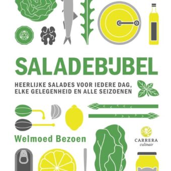 Welmoed Bezoen - Saladebijbel